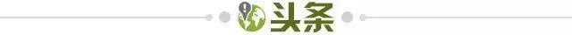 b8c39d26-8bd2-4cc0-966f-b4103fed797c.jpg@!img01